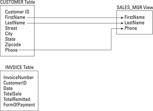 Illustration presenting the derivation of the national sales manager’s view from the CUSTOMER table.