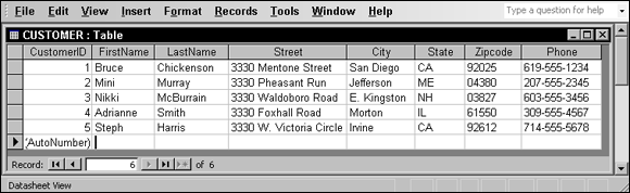 Screenshot of a portion of the CUSTOMER table with some sample data to create a table.