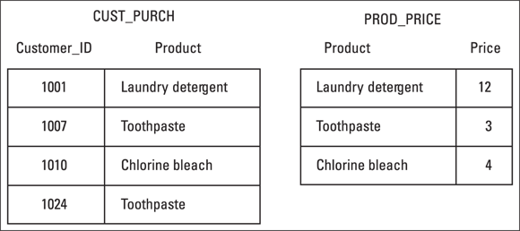 Illustration of a SALES table split into two tables, CUST_PURCH and PROD_PRICE, each dealing with only one theme or idea.